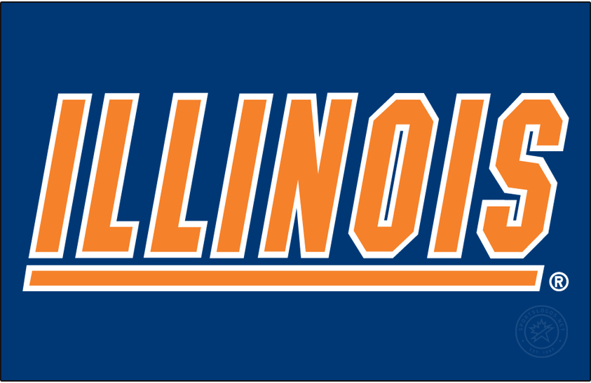 Illinois Fighting Illini 1995-2014 Primary Dark Logo v2 diy iron on heat transfer